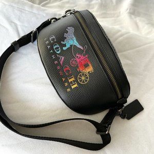 Coach Belt Bag With Rexy And Carriage